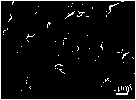 A kind of barium stannate-based composite electrolyte material and preparation method thereof