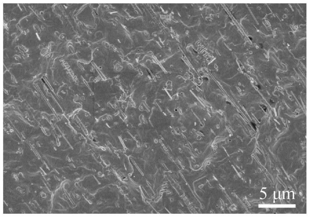 A kind of high thermal conductivity biodegradable polymer composite material and preparation method thereof