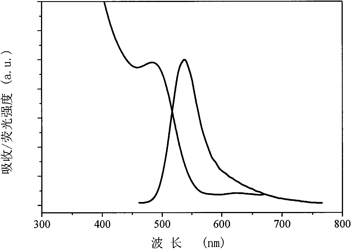 Method for preparing water-soluble CdTe quantum dots