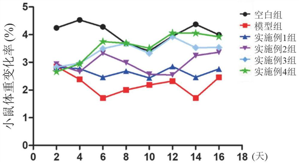 Functional composition with immunoregulation effect as well as preparation method and application of functional composition