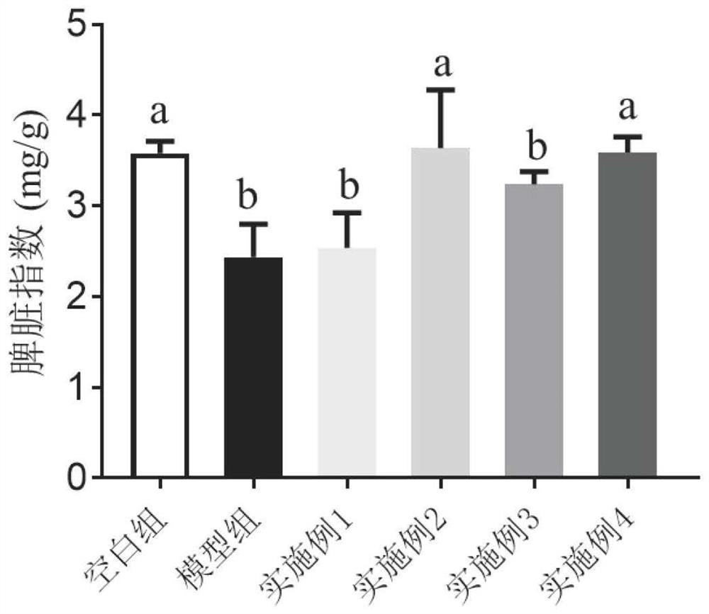 Functional composition with immunoregulation effect as well as preparation method and application of functional composition