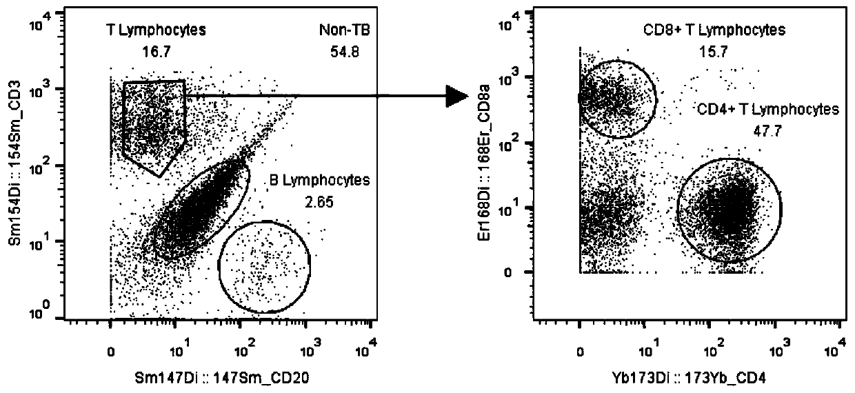 Unicell based immunocyte typing quantitative analysis method