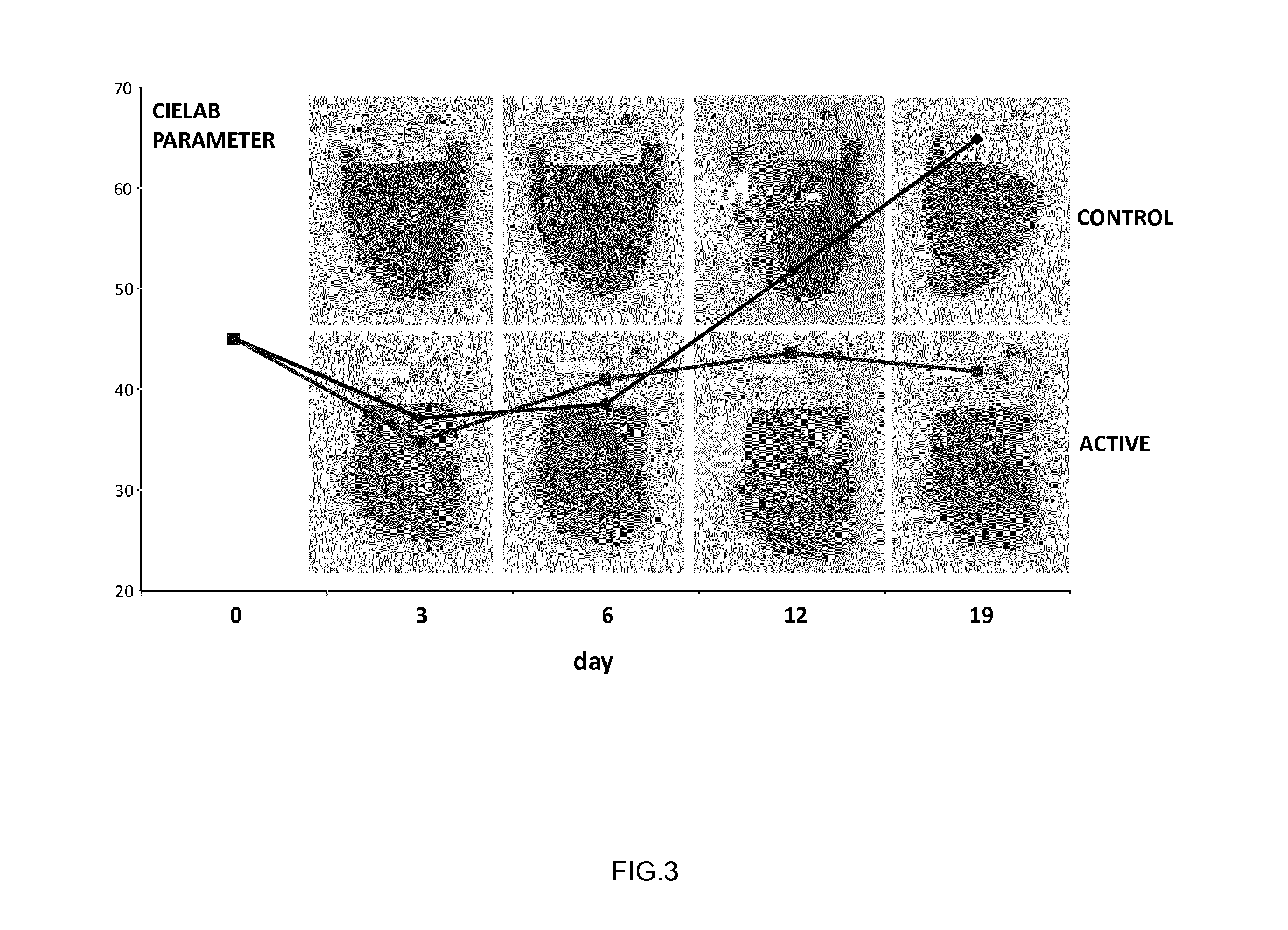 Antimicrobial compositions for food packaging consisting of salicylaldehyde and carvacrol, thymol or their mixture