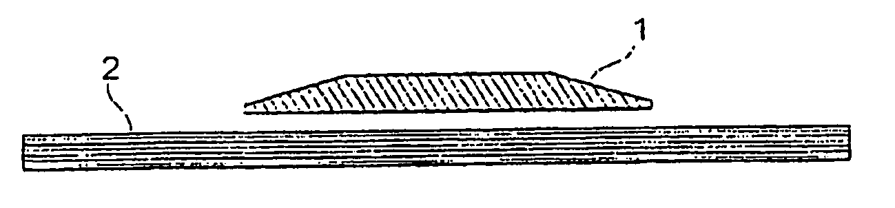 Process for Producing a Substantially Shell-Shaped Component