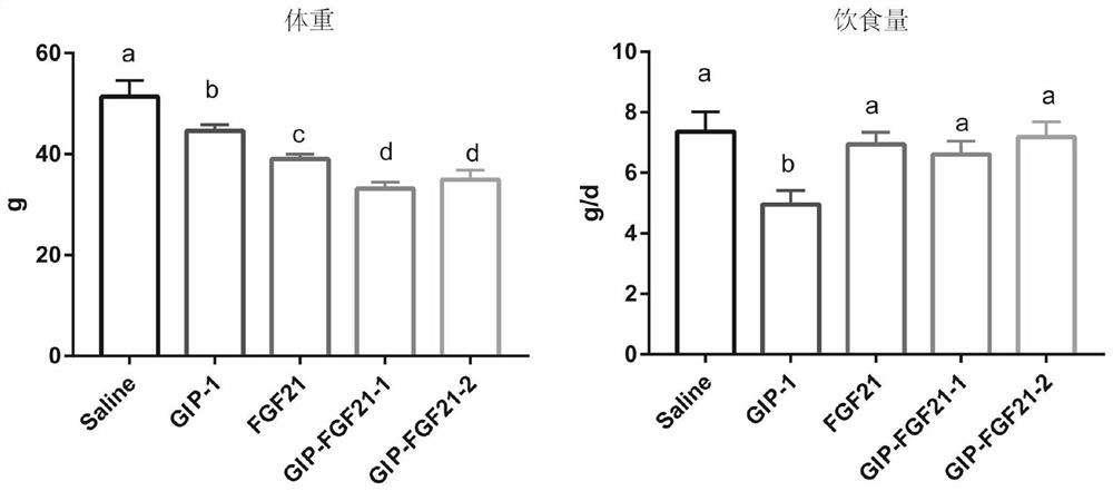 A fusion protein for treating metabolic diseases and its preparation method and application