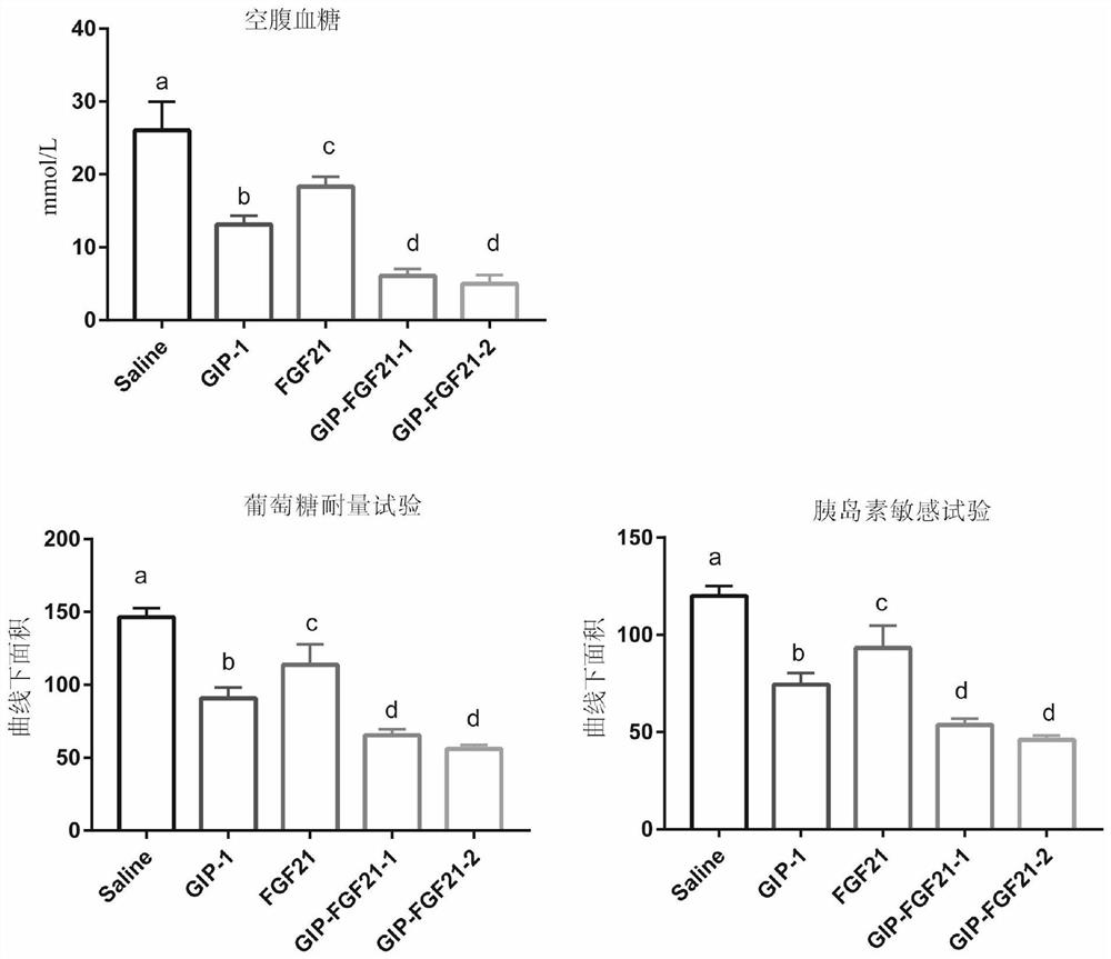 A fusion protein for treating metabolic diseases and its preparation method and application