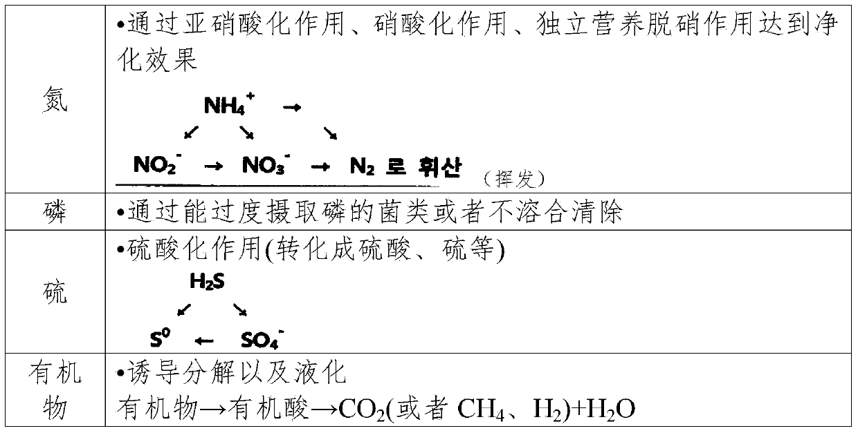 Natural cycle microbial agent for purifying water and preparation method thereof