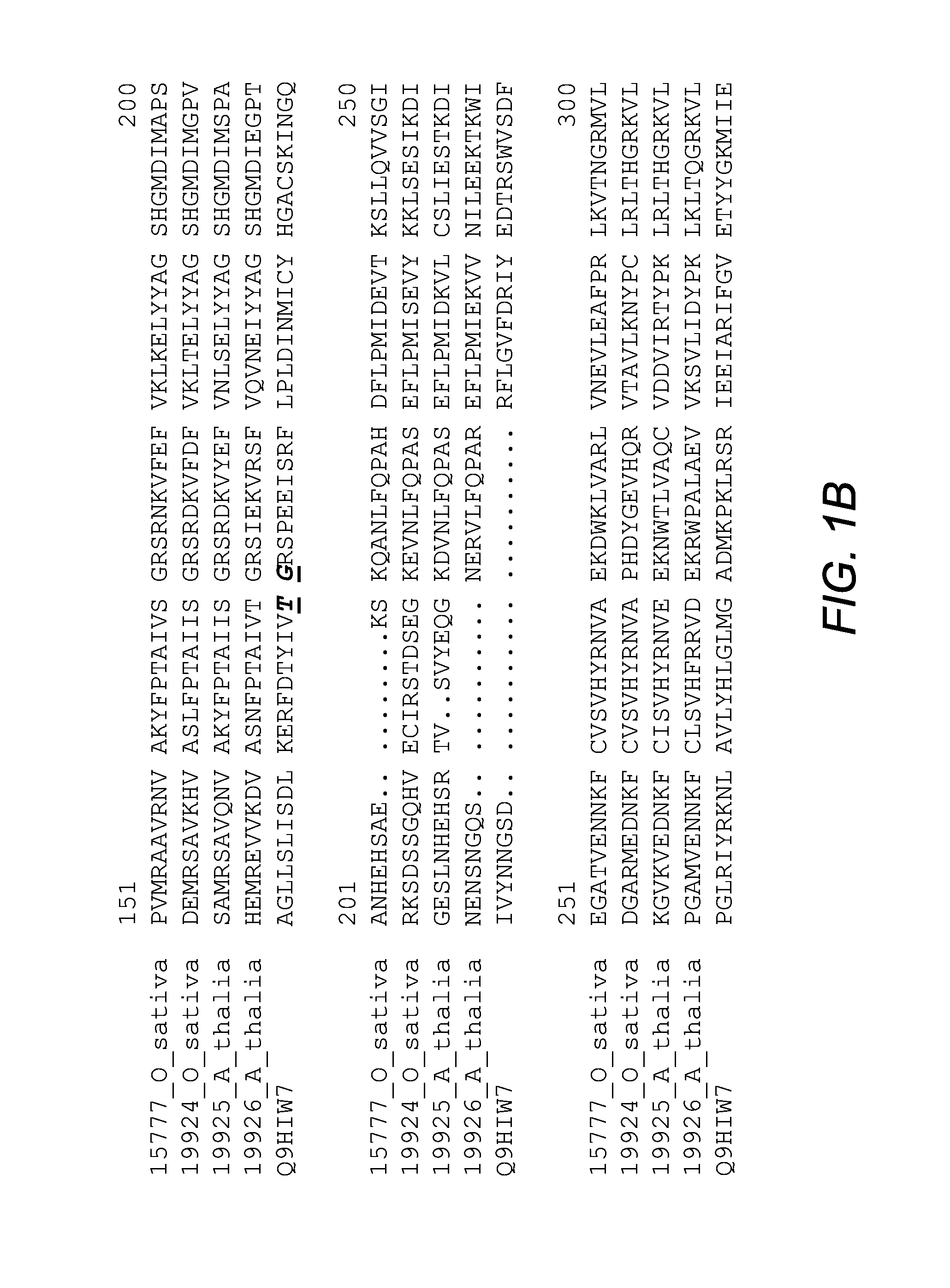 Methods of increasing yield and stress tolerance in a plant