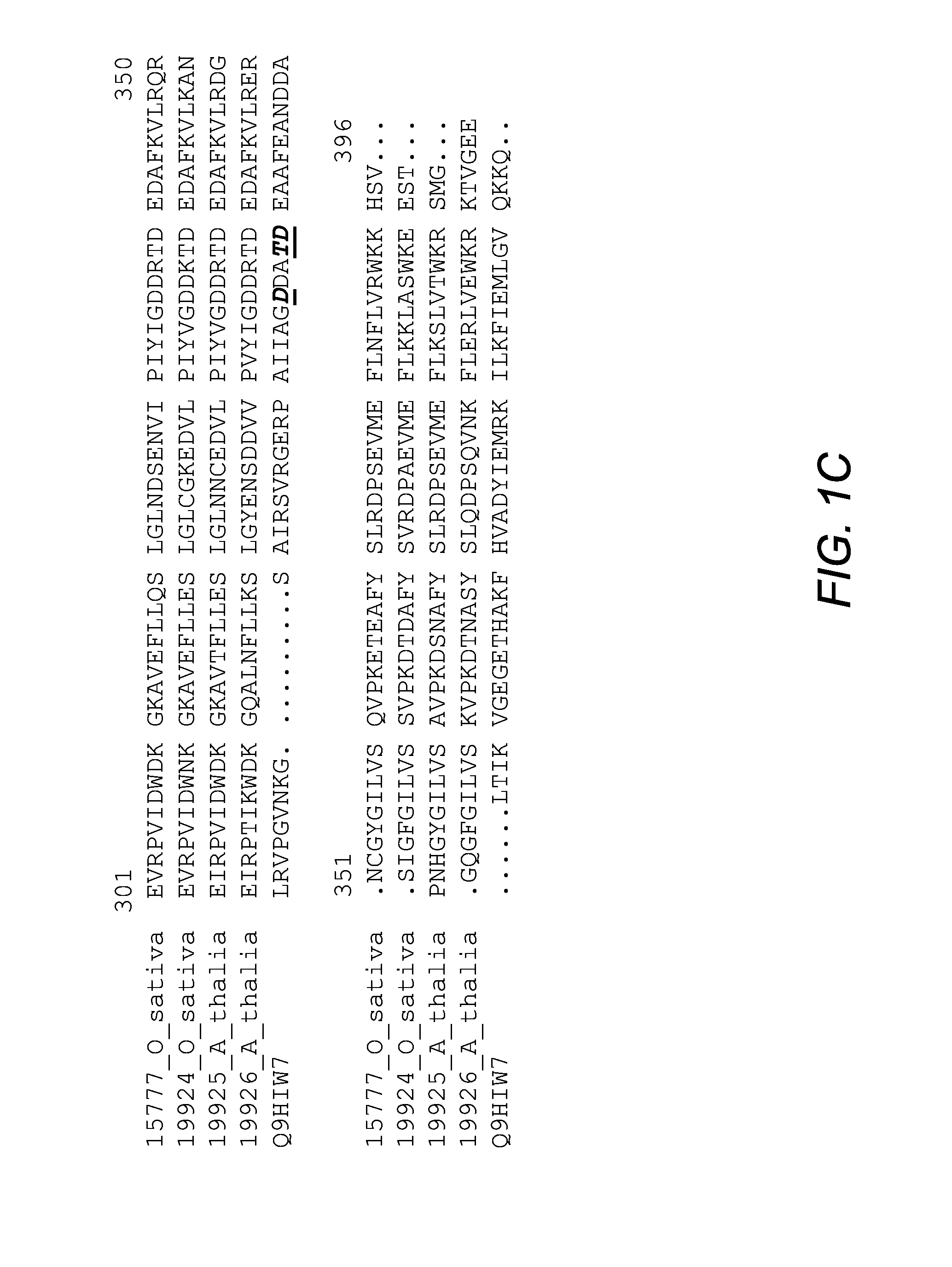 Methods of increasing yield and stress tolerance in a plant