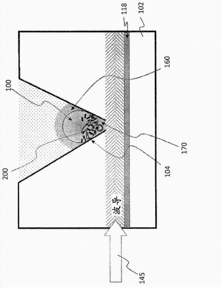 Compositions and methods for sequencing nucleic acids