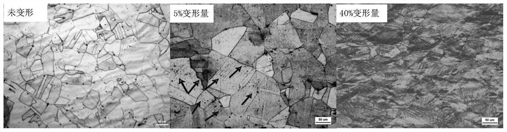 High-strength intergranular-corrosion-resistant twinning induced plastic austenitic stainless steel