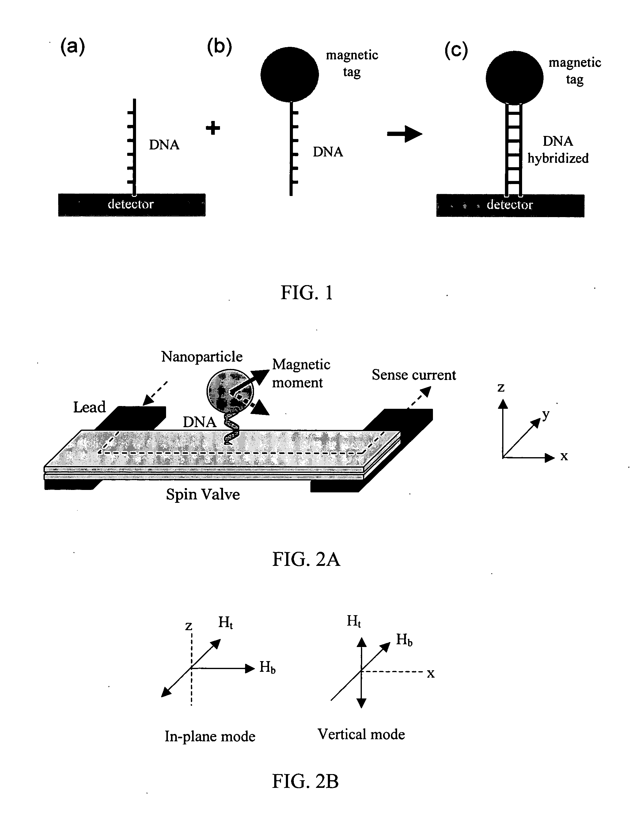 Magnetic nanoparticles, magnetic detector arrays, and methods for their use in detecting biological molecules
