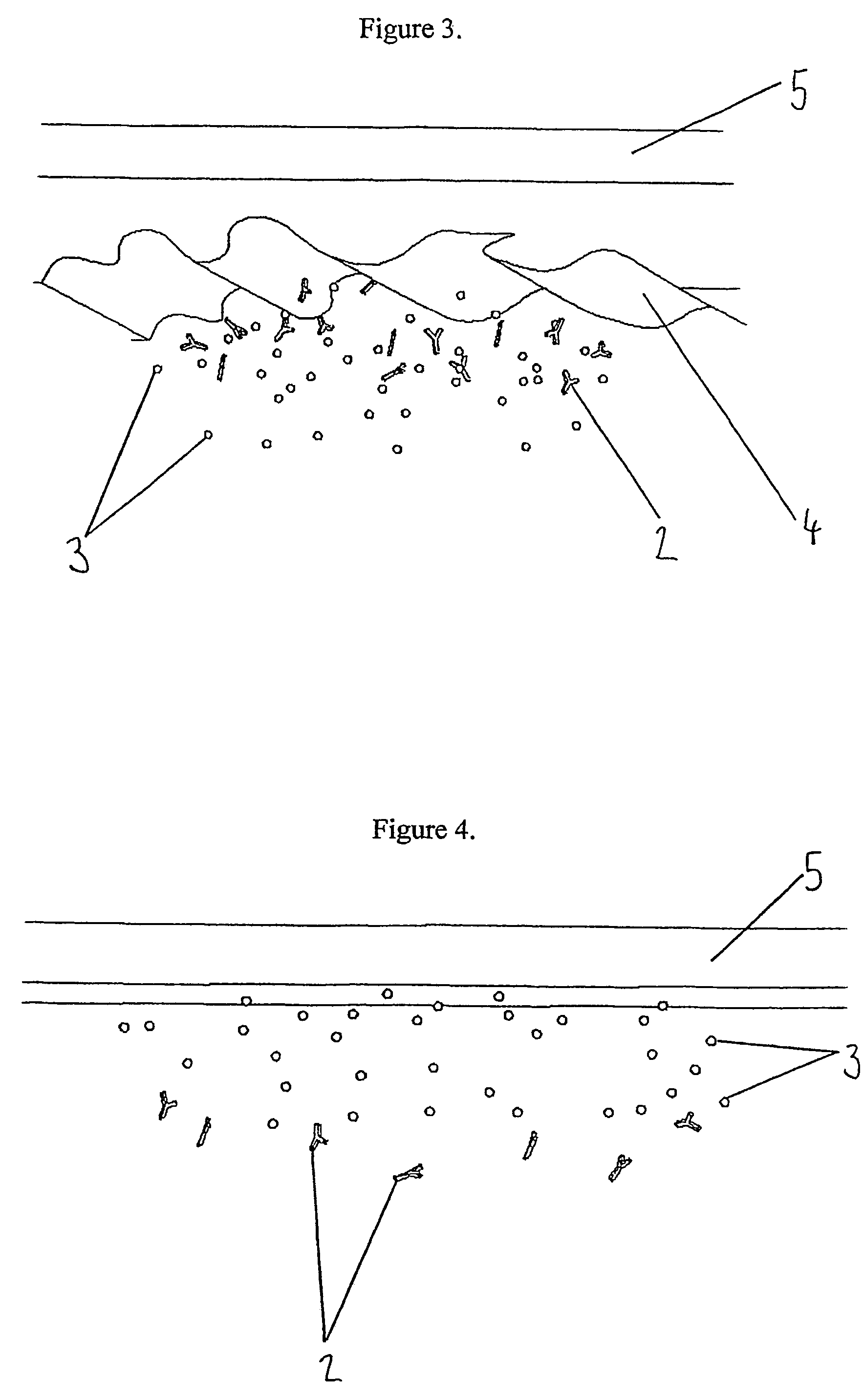 Indicator for in-situ detecting of lysozyme