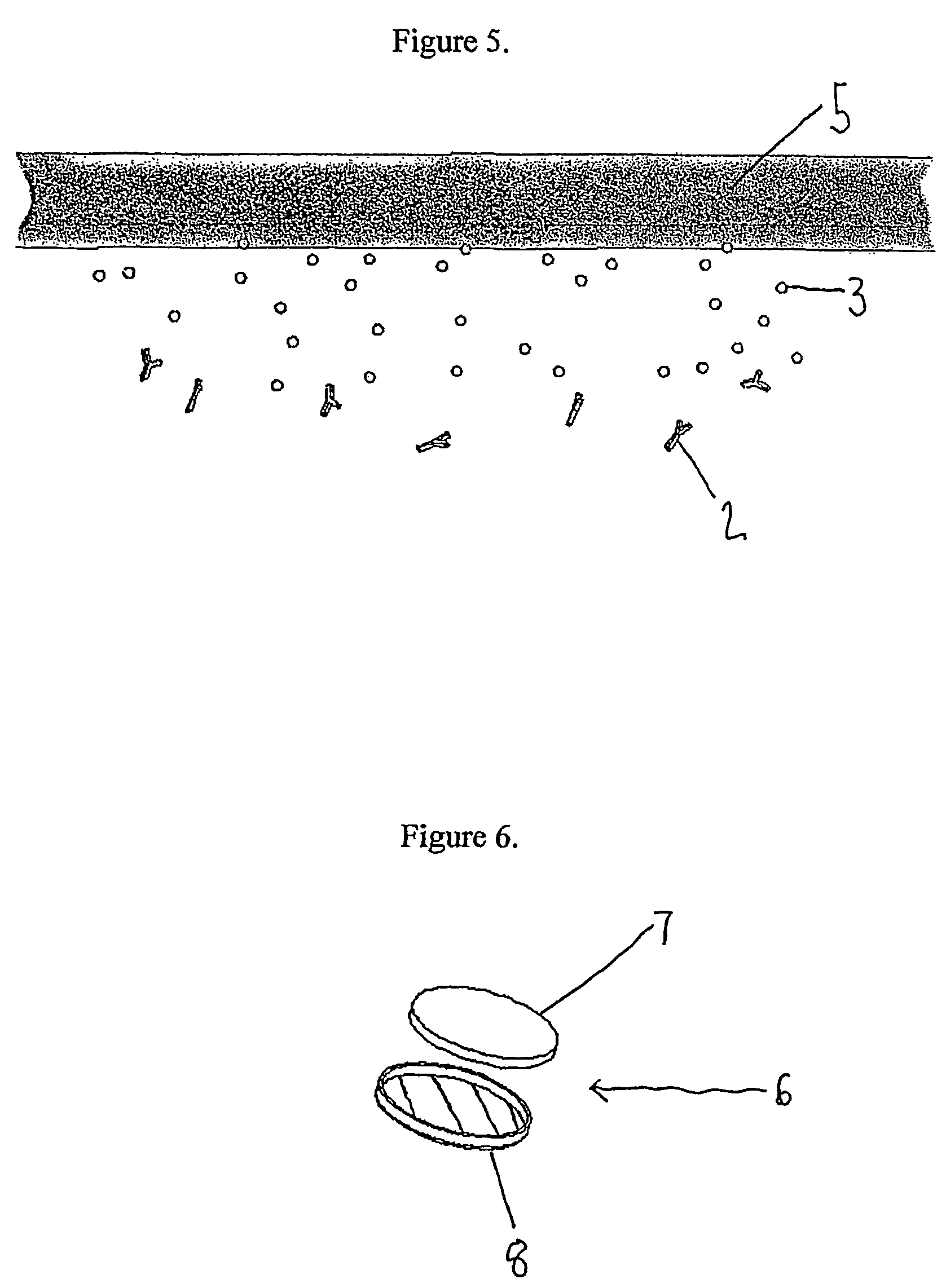 Indicator for in-situ detecting of lysozyme