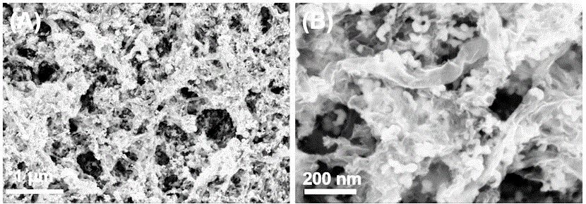 Preparation method for molybdenum carbide/ graphene nanoribbonn composite material