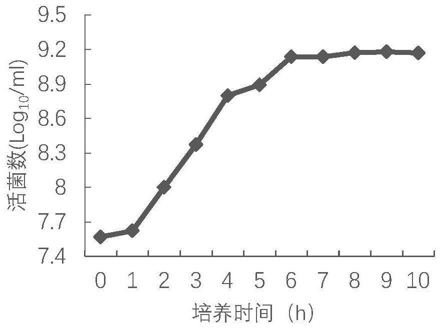 A kind of Pseudomonas aeruginosa and marine mammal vaccine containing the bacteria