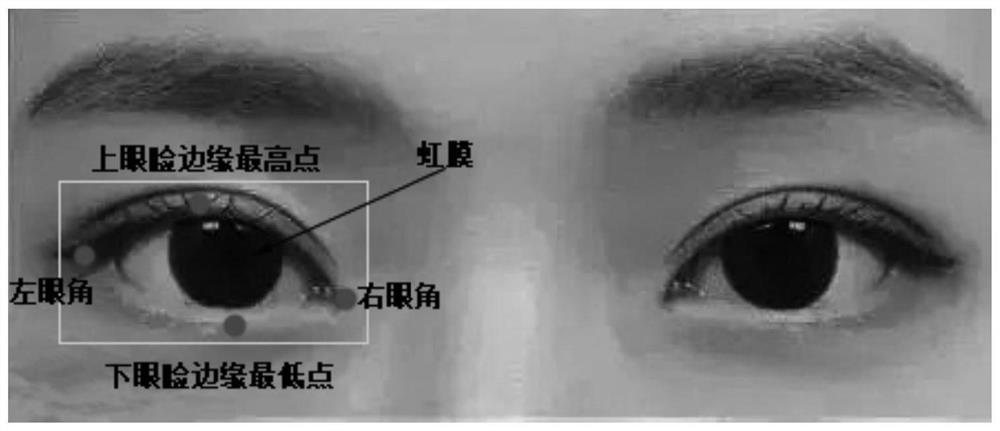 Fatigue detection method for tracking eye movement rate based on one-dimensional projection