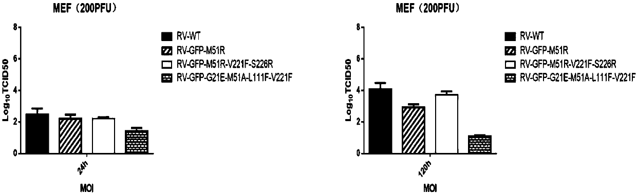 Attenuated strain of oncolytic rhabdovirus and its application in tumor therapy