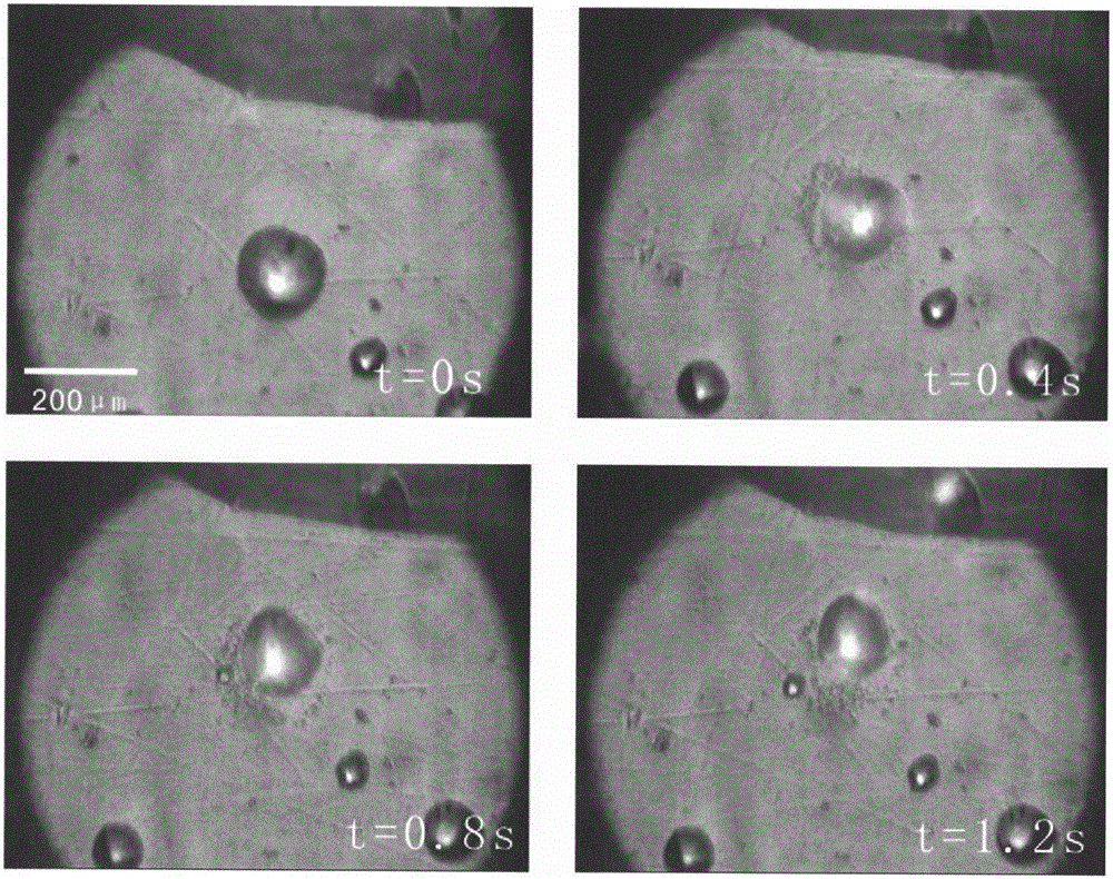 Real-time controllable micro-droplet jetting device and method based on lithium niobate crystal