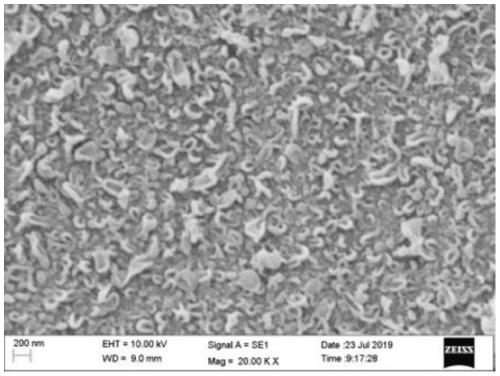 Anti-biological-pollution composite reverse osmosis membrane and preparation method thereof