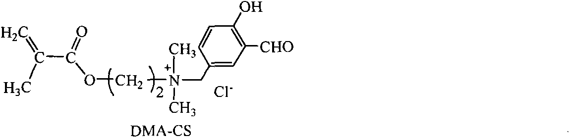 Functional monomer and preparation method thereof