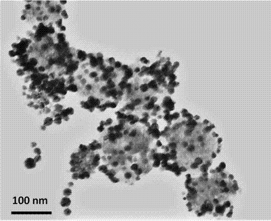 Preparation method of magnetic/gold nano composite particle