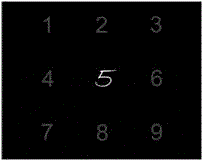 Brain-computer interface method based on SSVEP (Steady State Visual Evoked Potential) blocking and P300 bicharacteristics