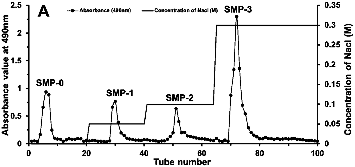 Solanum muricatum Ait acidic polysaccharide and purification method and application thereof