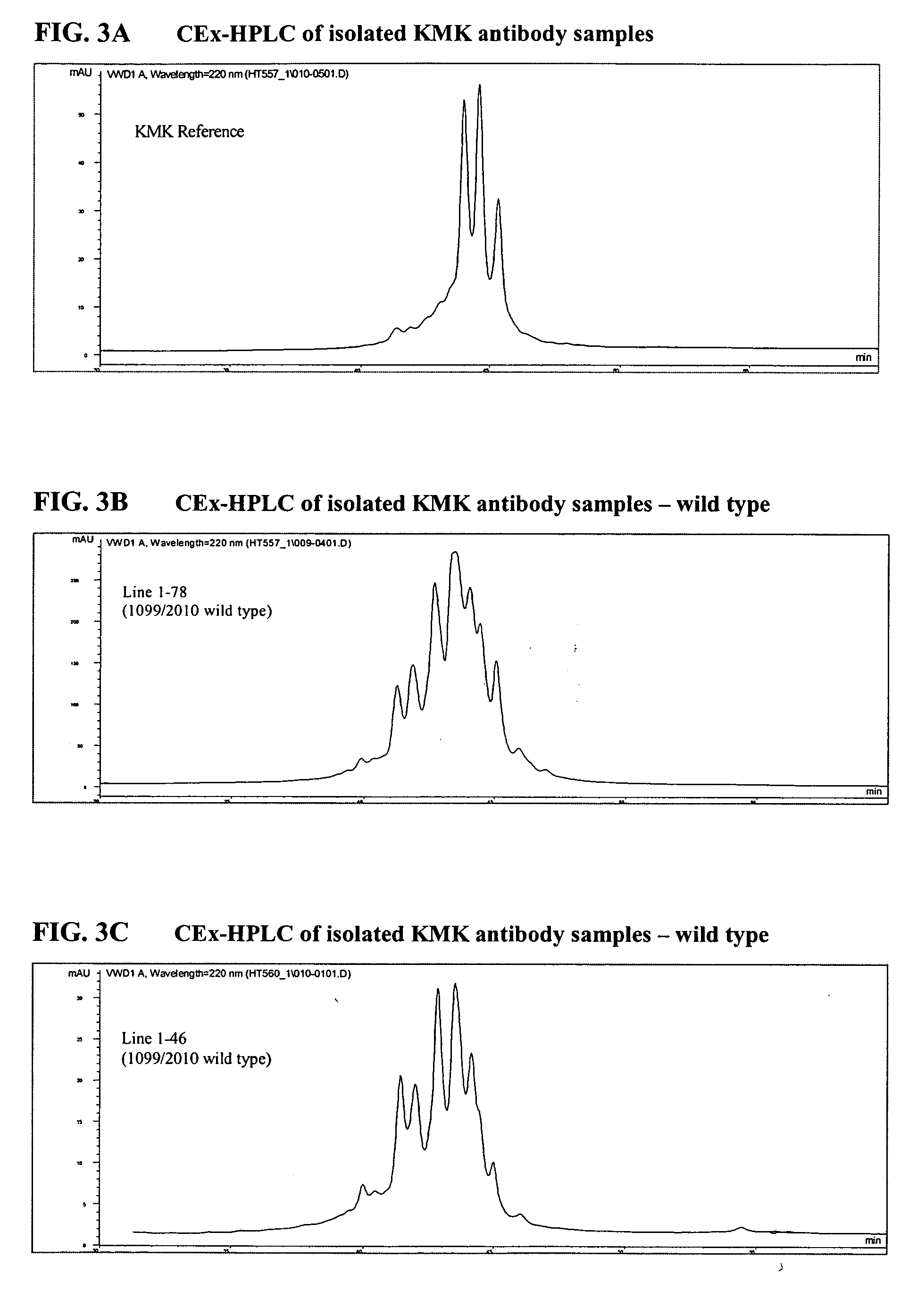 Modified antibodies stably produced in milk and methods of producing same