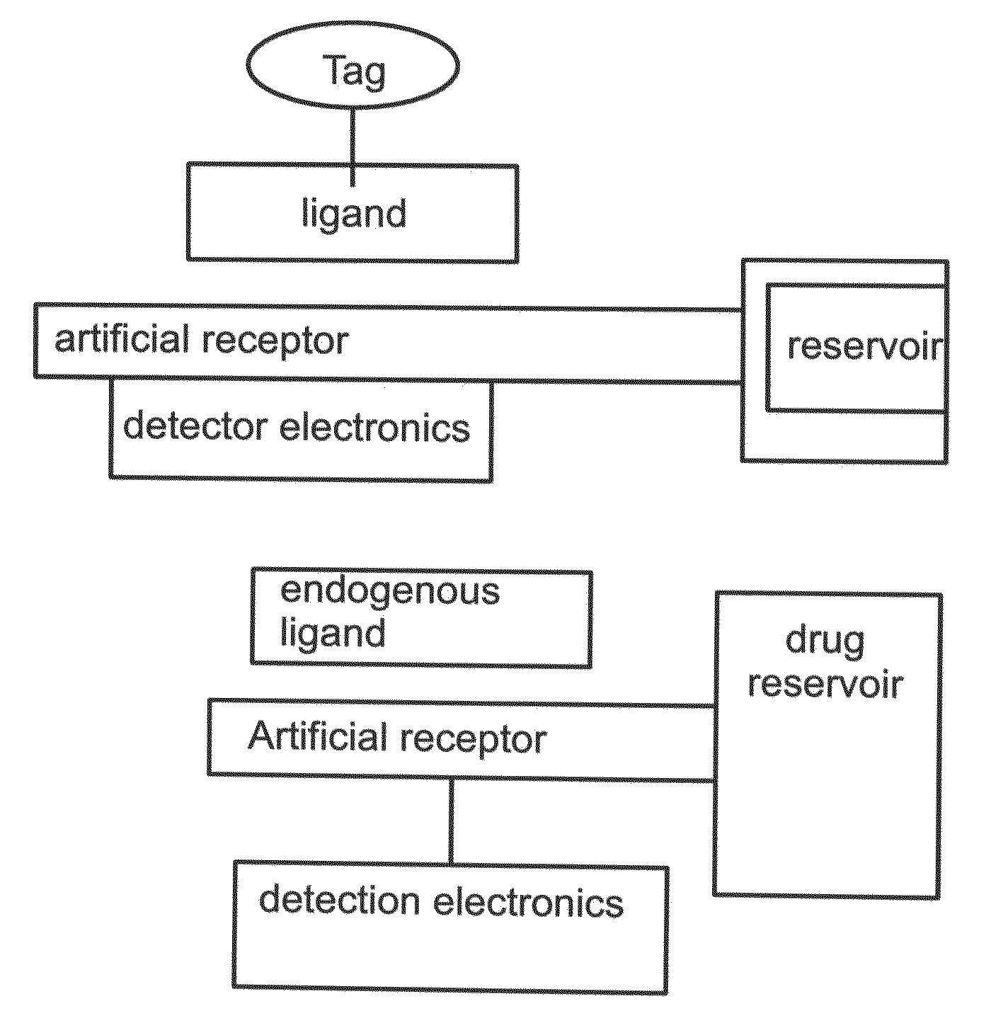 Artificial receptors