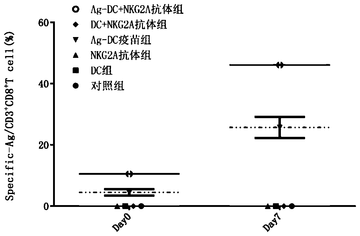 Composition capable of enhancing organism immunity and application of composition to resisting adult T-cell leukemia or nasopharyngeal carcinoma