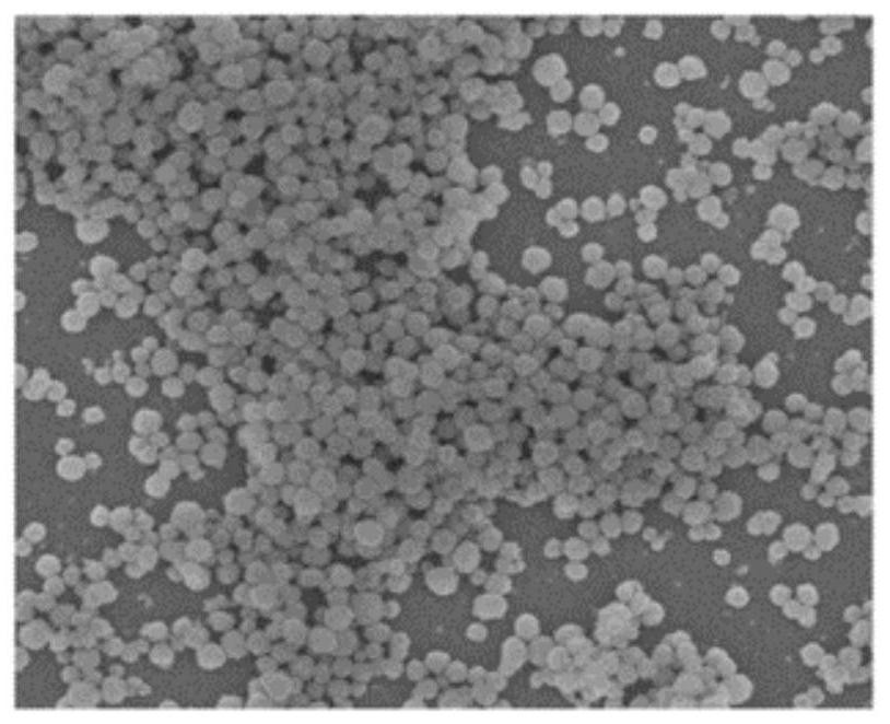 ECL biosensor based on NaBiF4 up-conversion nanoparticles