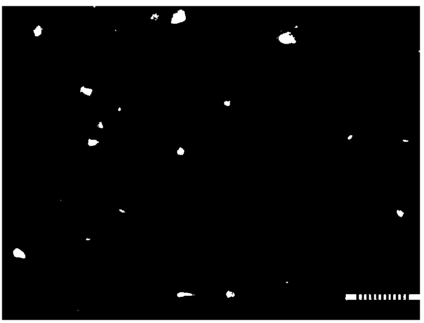 Hydrophilia-wrapped water-absorbent resin microsphere and preparation method thereof