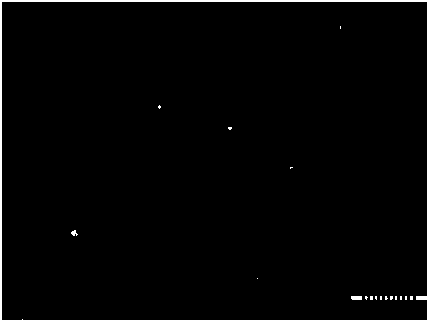 Hydrophilia-wrapped water-absorbent resin microsphere and preparation method thereof