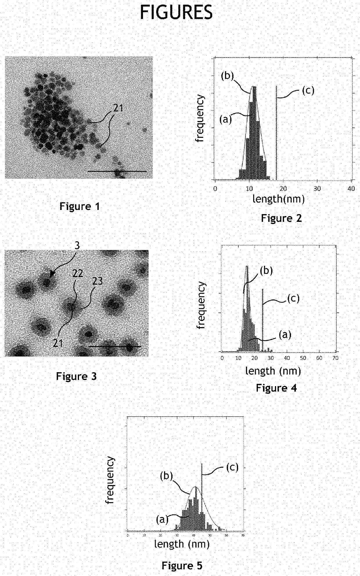Process for Detecting Nucleic Acid Molecules by Magnetic Hyperthermia and Assembly Enabling Such Detection