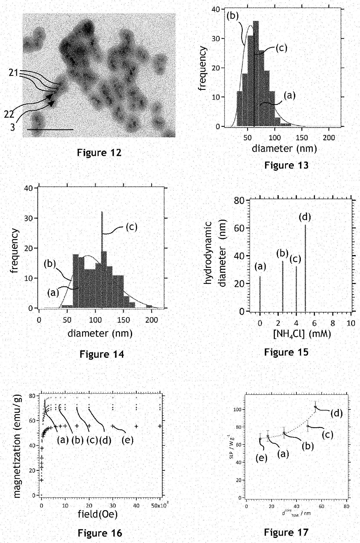 Process for Detecting Nucleic Acid Molecules by Magnetic Hyperthermia and Assembly Enabling Such Detection
