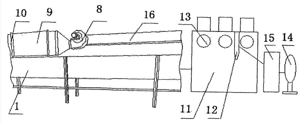 External wall tile manufacturing system and external wall tile manufacturing method