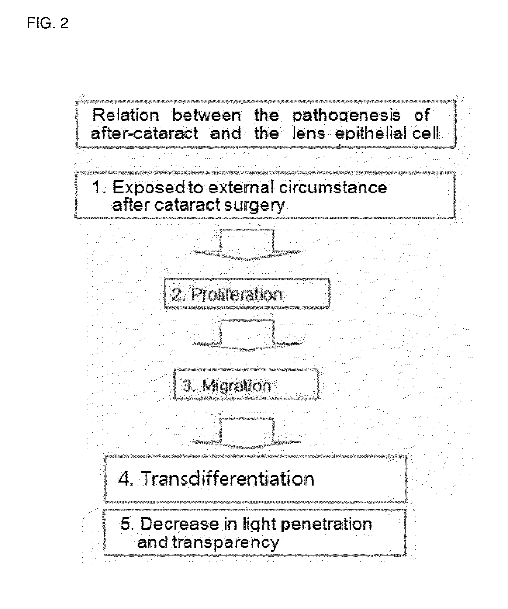 Composition for inhibiting after-cataract and method of preparing the same