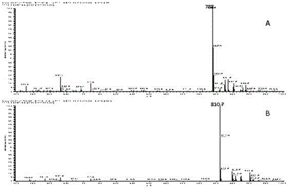 A kind of xylosidase xyl_s and its coding gene and application