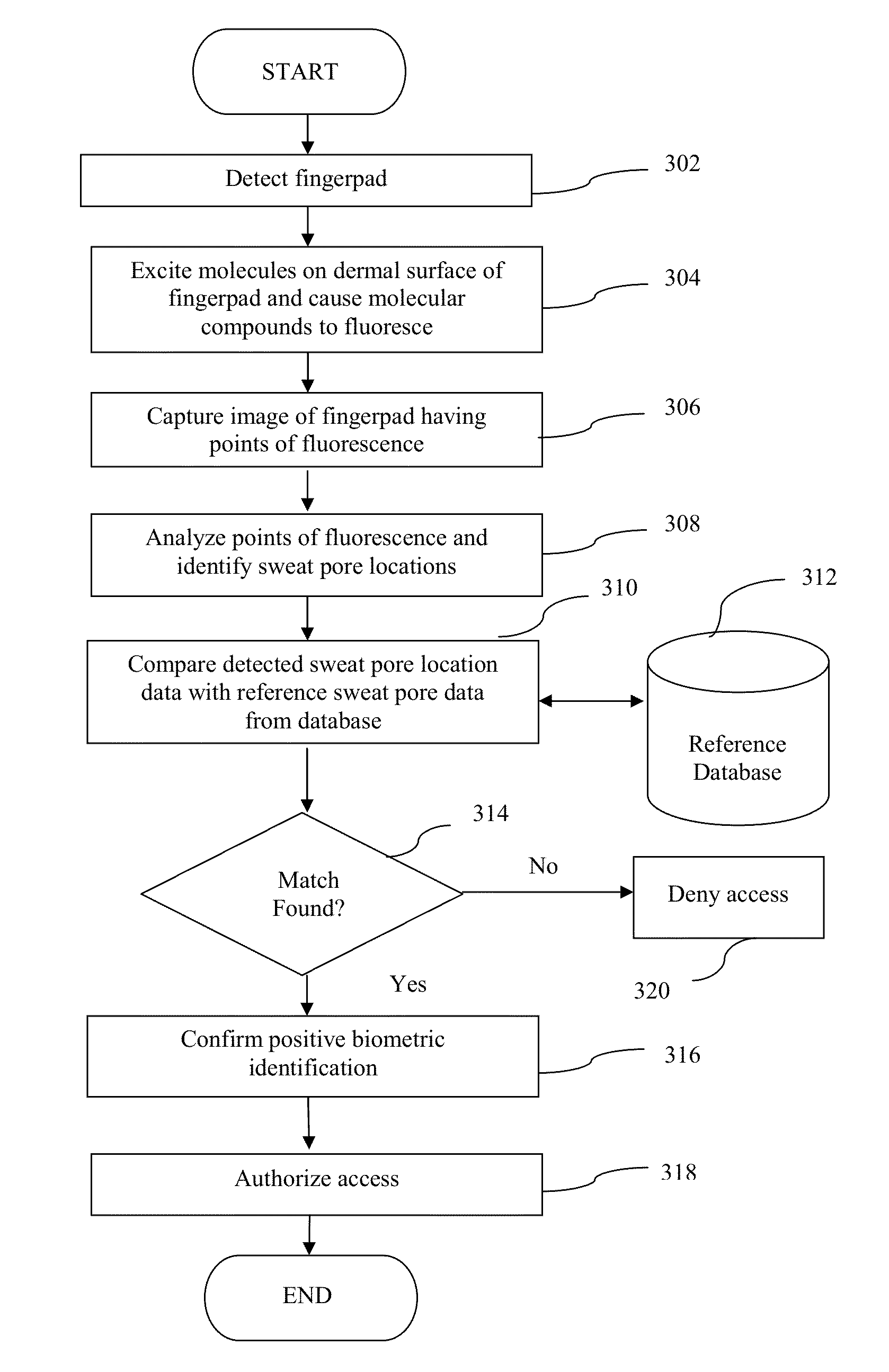 System, method and apparatus for electromagnetic detection and analysis of biometric information