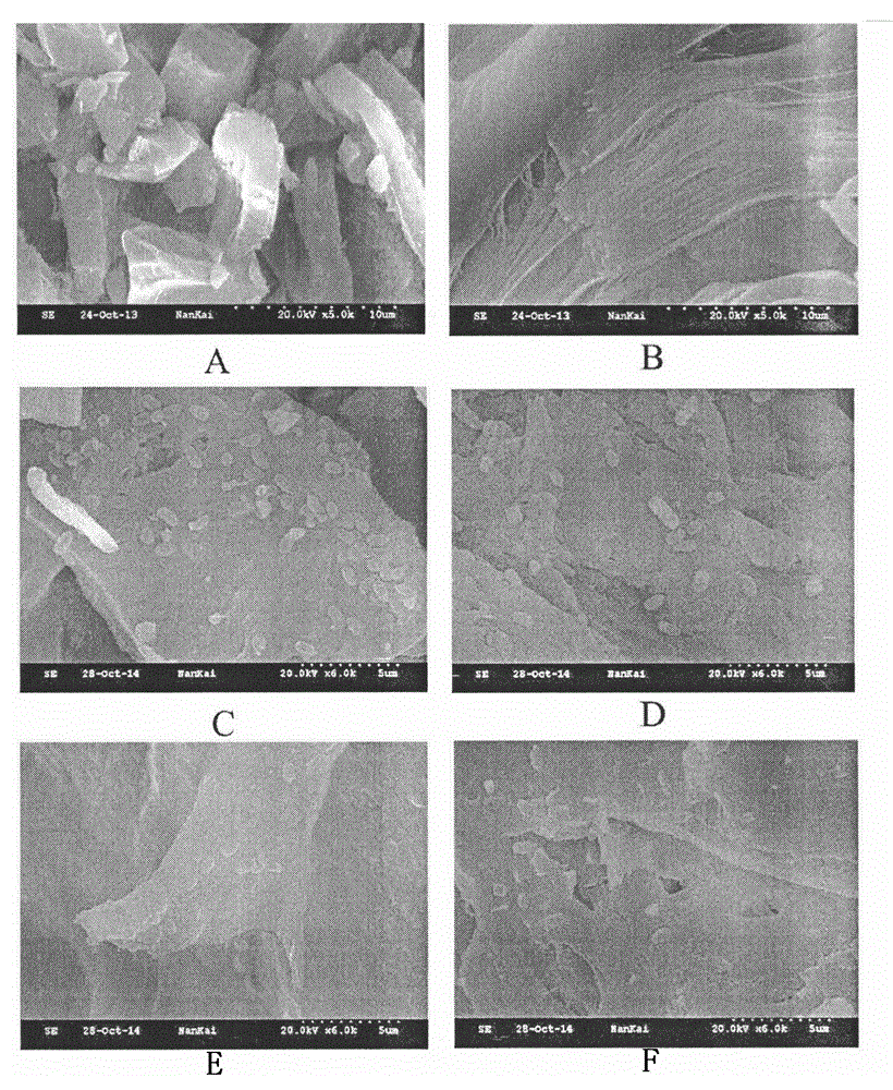 Immobilized microbial inoculant for restoring petroleum-hydrocarbon-polluted alkaline-saline soil and preparation method thereof