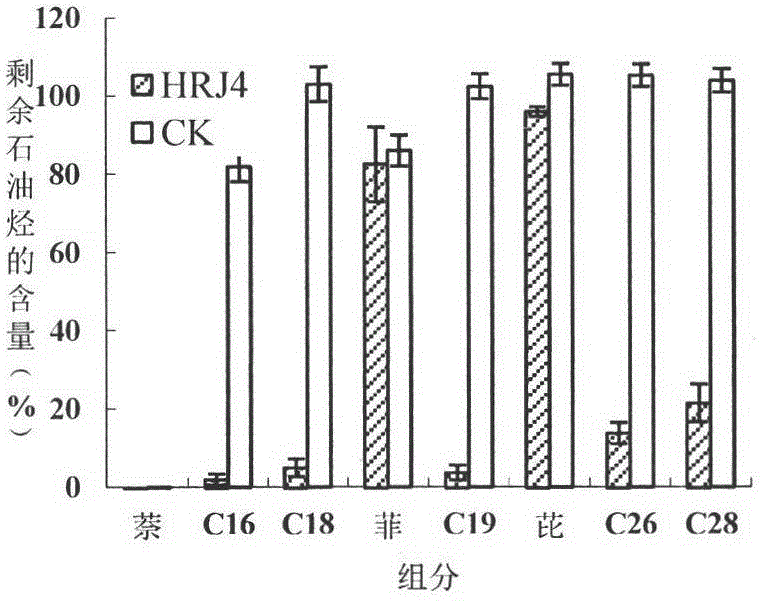 Immobilized microbial inoculant for restoring petroleum-hydrocarbon-polluted alkaline-saline soil and preparation method thereof