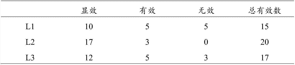 Male health care composition and preparation method thereof