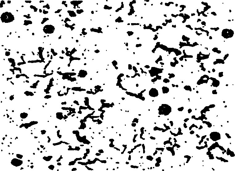 Method for increasing creep rate of compacted graphite cast iron by electromagnetic field