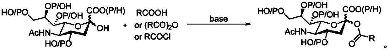 Sialic acid-carboxylic acid compound conjugate and preparation method thereof