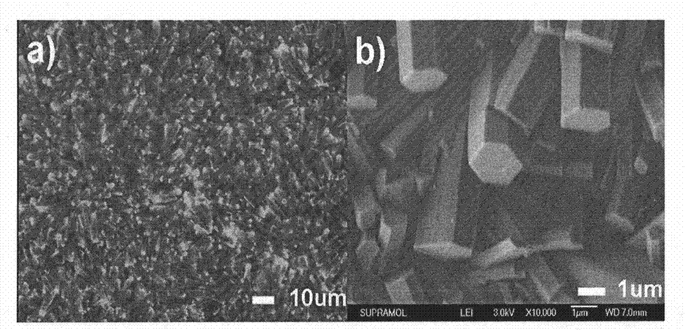 Face-type structural 3(8-hydroxyquinoline) aluminium nano and micro materials and preparation method thereof