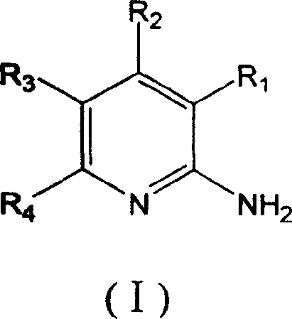 Method for preparing 2-aminopyridine and alkyl derivative