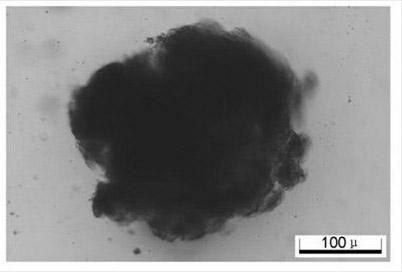 Preparation method of superparamagnetism easily-degradable oil stain absorption material and product obtained by method