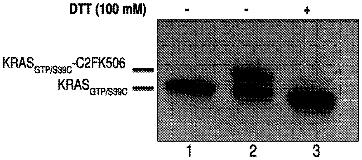 Methods and reagents for analyzing protein-protein interfaces