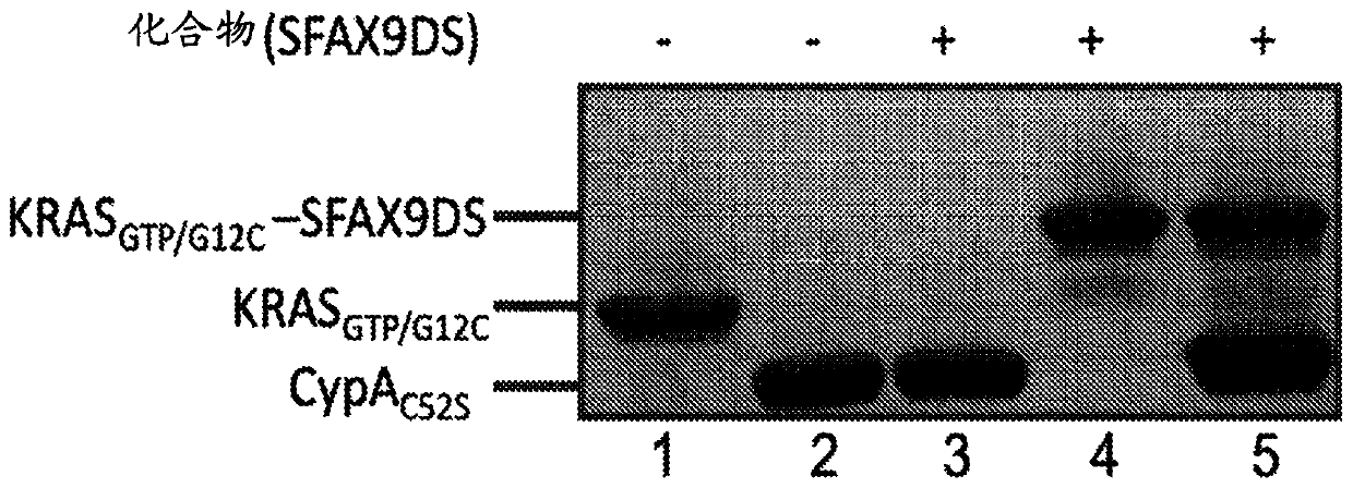 Methods and reagents for analyzing protein-protein interfaces